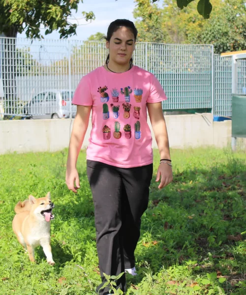 shiba 6 mesi in addestramento